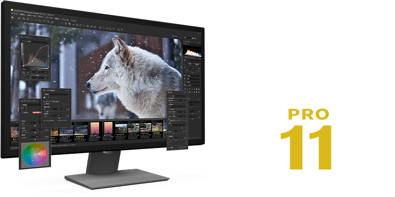 SILKYPIX Developer Studio Pro11