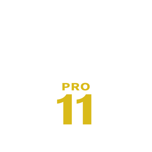 SILKYPIX Developer Studio Pro11