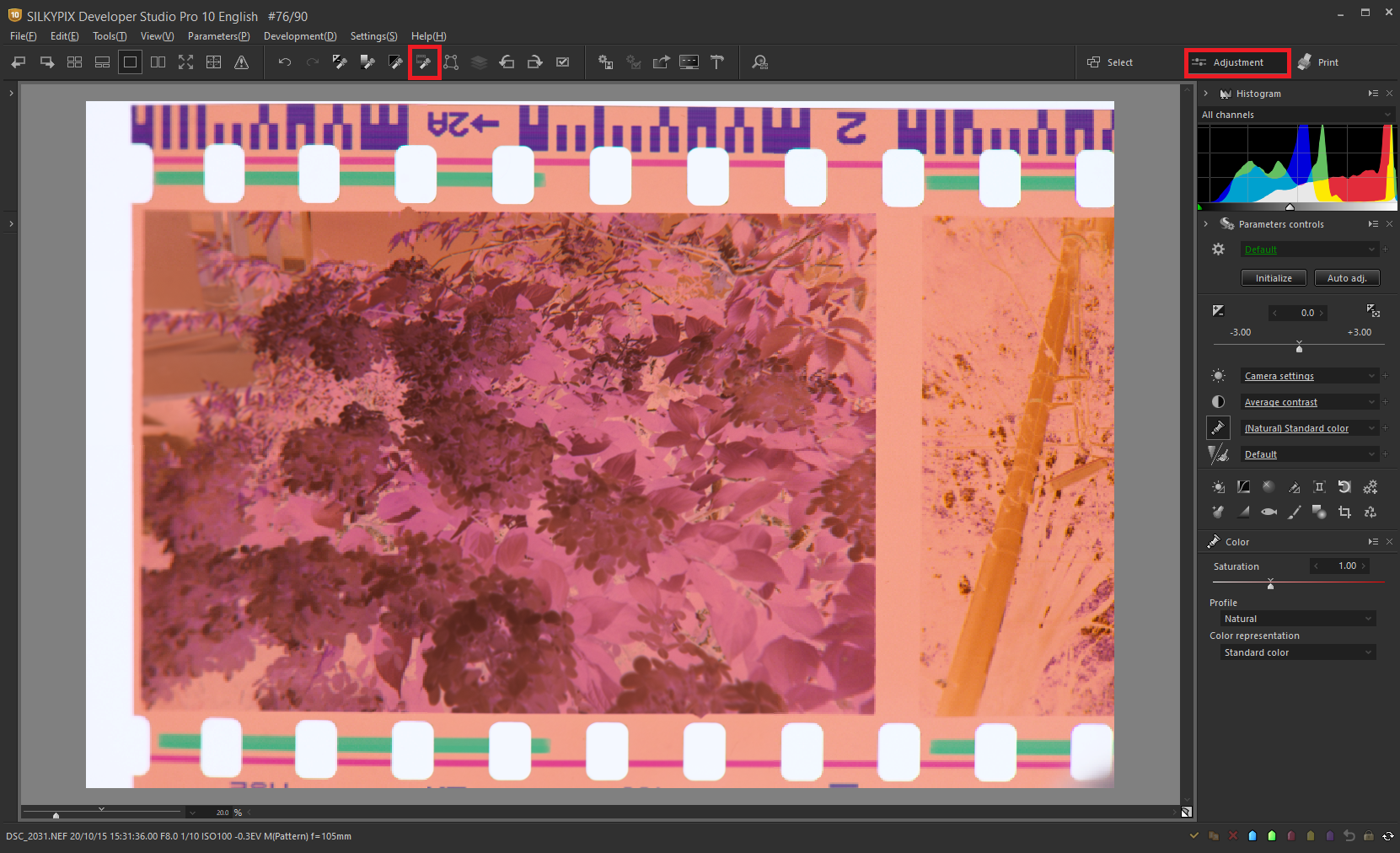 the Negative film inversion tool