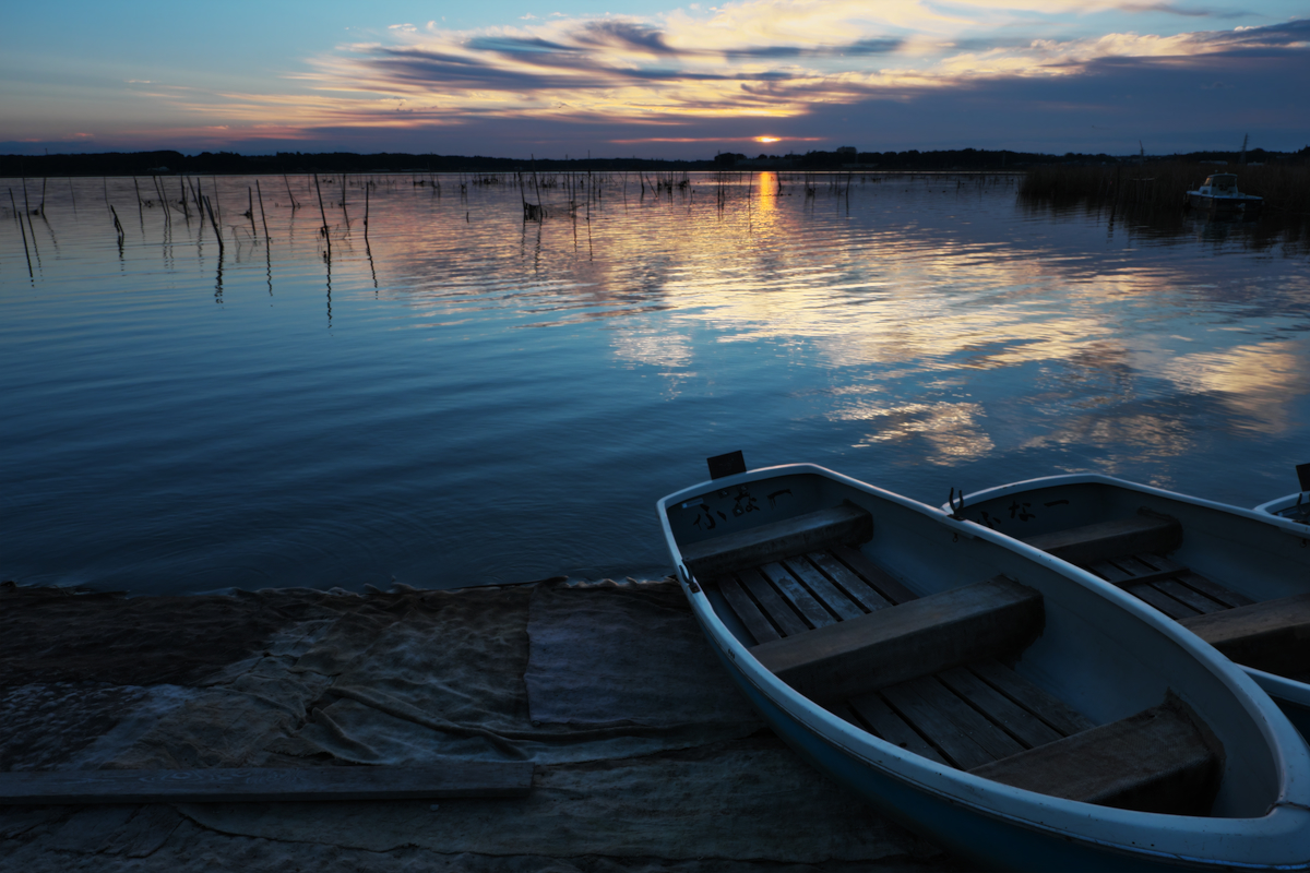 photograph of the morning immediately after sunrise