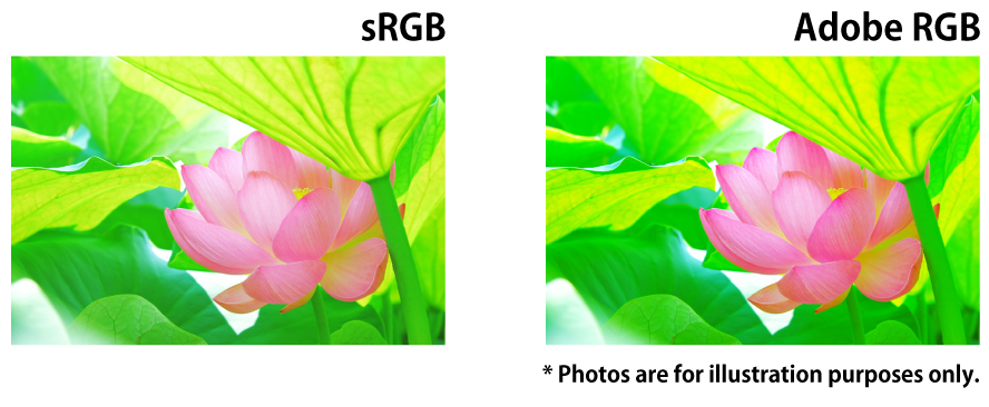 Example sRGB and Adobe RGB