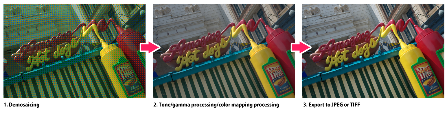 Process Flow of RAW Development