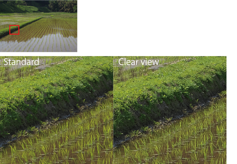 Demosaicing Comparison 02