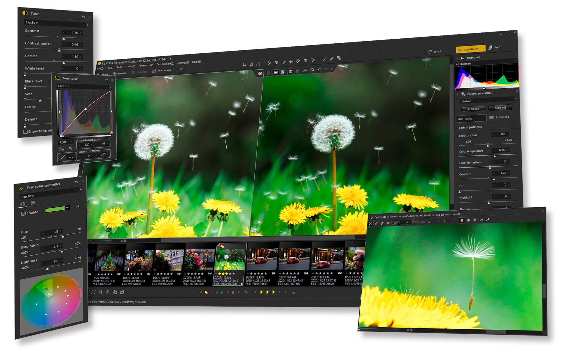 SILYPIX Developer Studio Pro12