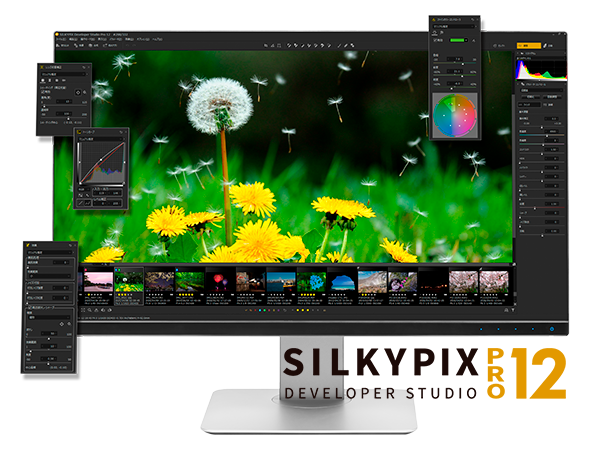 SILKYPIX Developer Studio Pro12