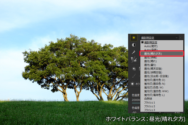 作例: ホワイトバランス 昼光(晴れ夕方)