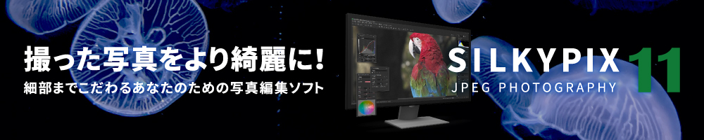 撮った写真をJPEG Photography11でより綺麗に