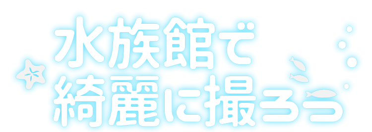 水族館で綺麗に撮ろう！