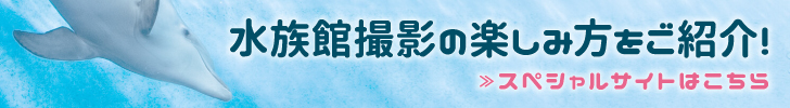 水族館を綺麗に撮ろう！