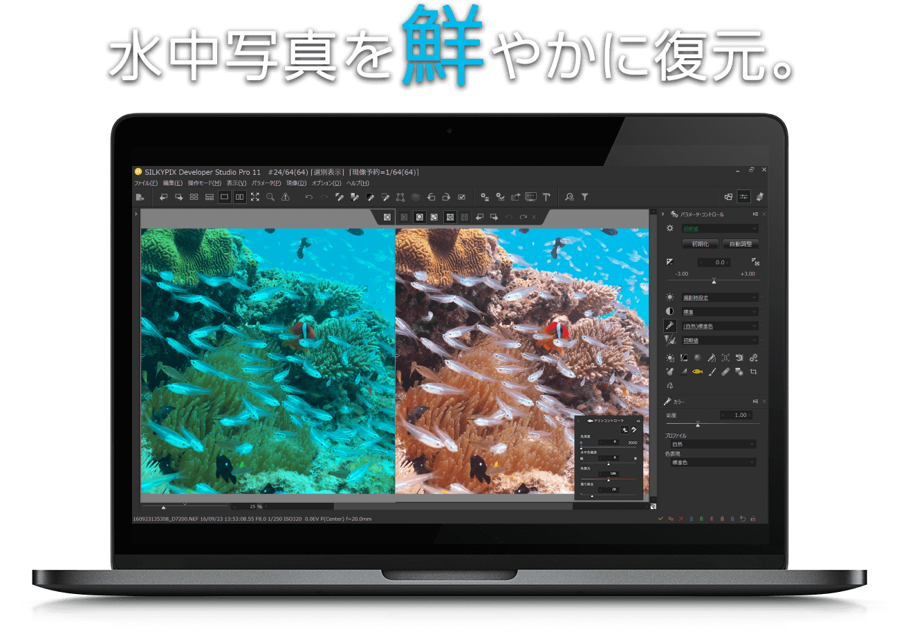 水中写真を鮮やかに復元