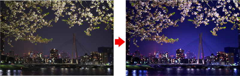 RAW現像　桜　夜景