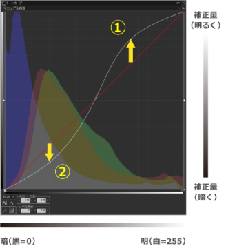 トーンカーブの使い方　S字型のカーブはコントラストを高くする