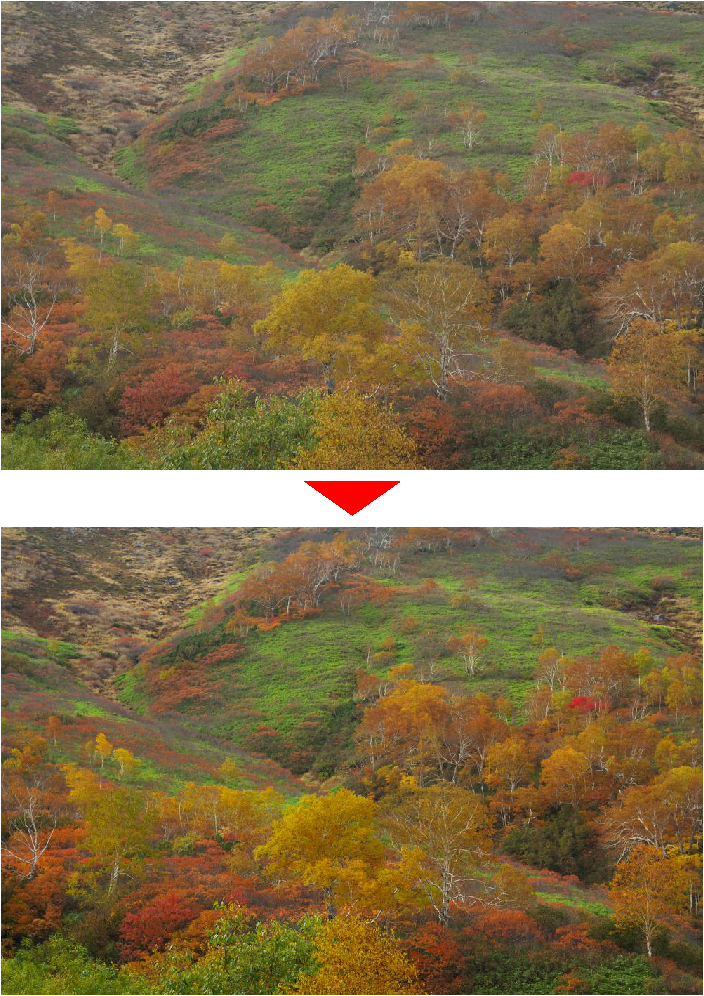 紅葉写真を鮮やかに仕上げる方法　コントラスト編