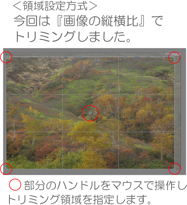 トリミング領域設定範囲