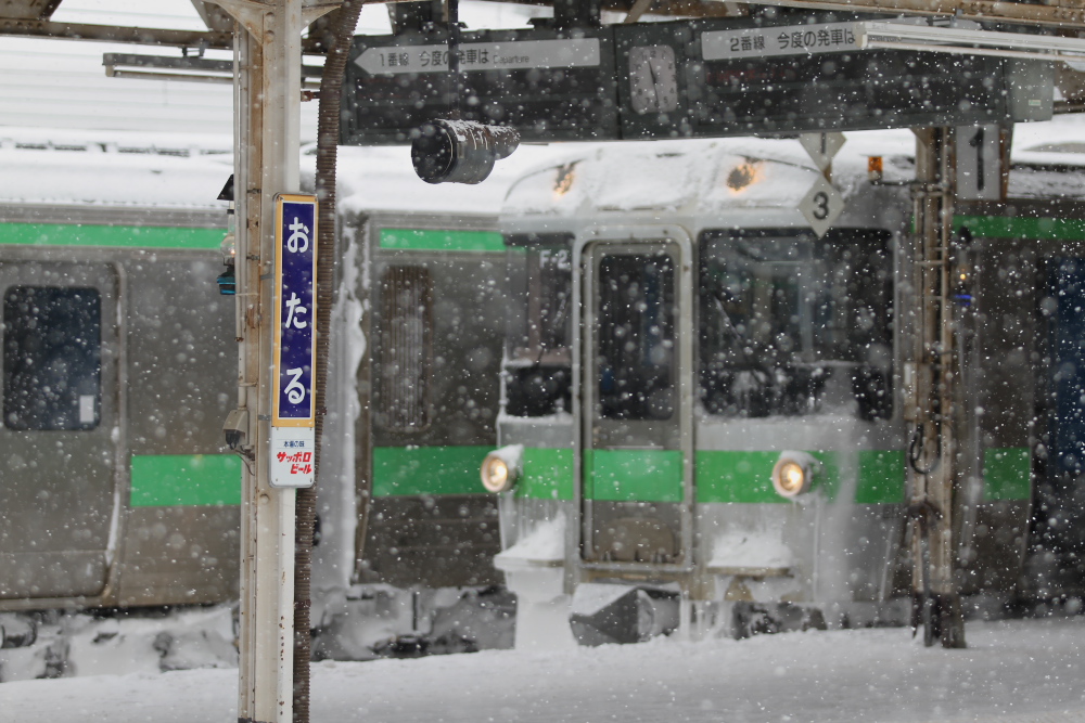 雪のモノクロ写真