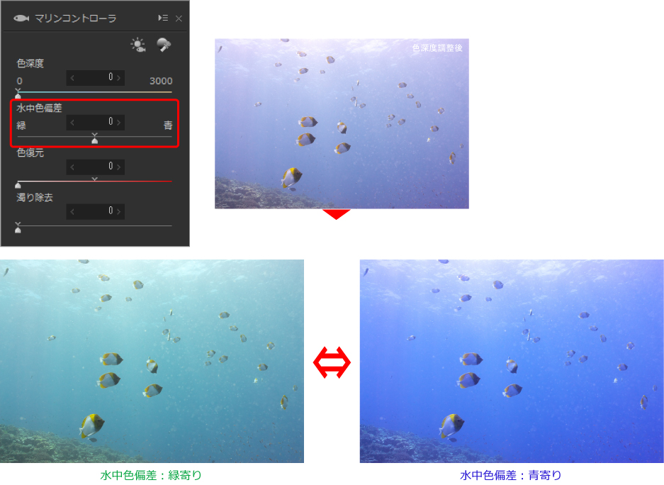 水中写真の色偏差を比較