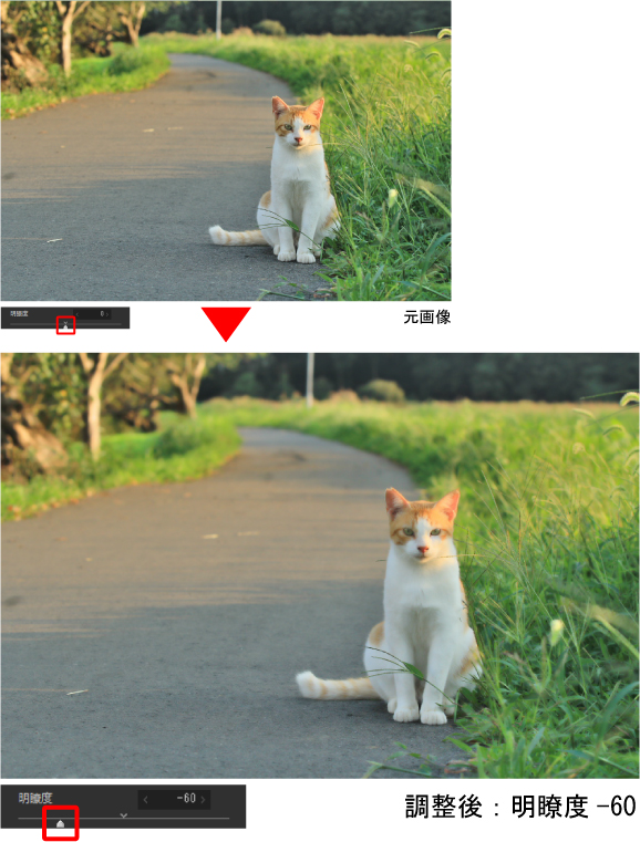 明瞭度の効果は下げることで柔らかい写真になる