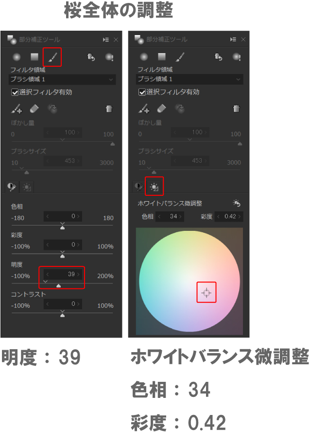 部分補正のブラシを使用して桜を強調する