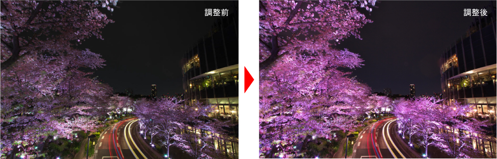 ライトアップの桜を綺麗に仕上げる