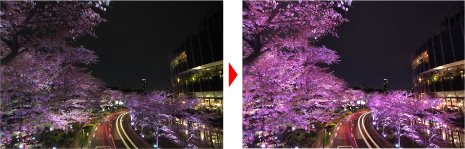 東京ミッドタウンにある桜並木が桜色にライトアップされます、今回はこの写真をRAW現像しました