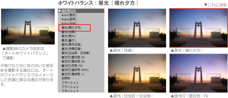 夕方の写真をホワイトバランスの調整で綺麗に調整