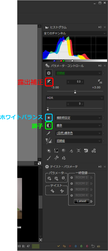 RAW現像調整