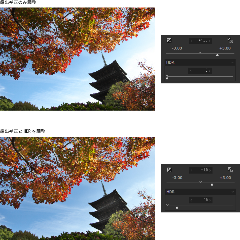 逆光の紅葉写真はHDRと露出補正