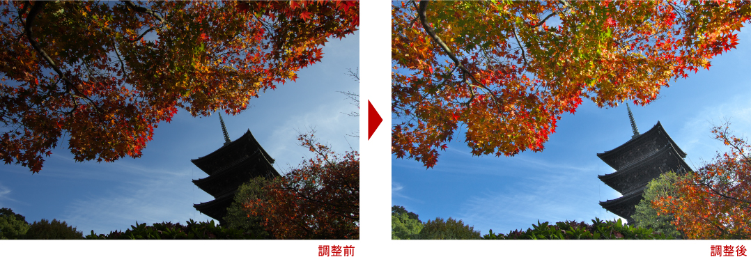 紅葉東寺