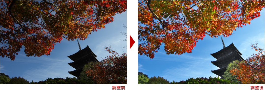 紅葉東寺写真調整