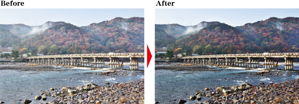 紅葉をかすみ除去