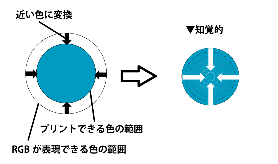 知覚的