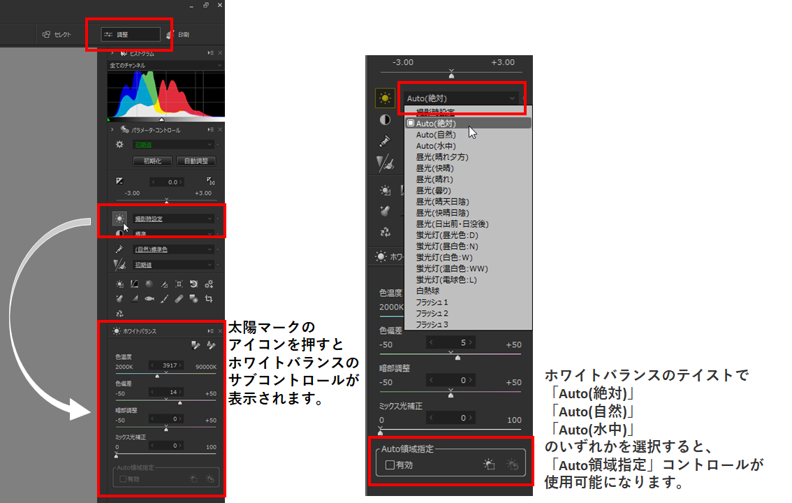 Auto領域指定方法1