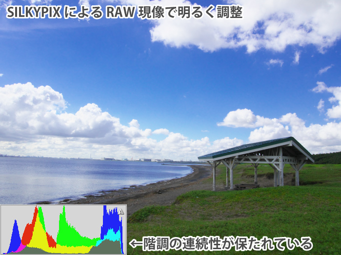 RAWデータをSILKYPIXでRAW現像