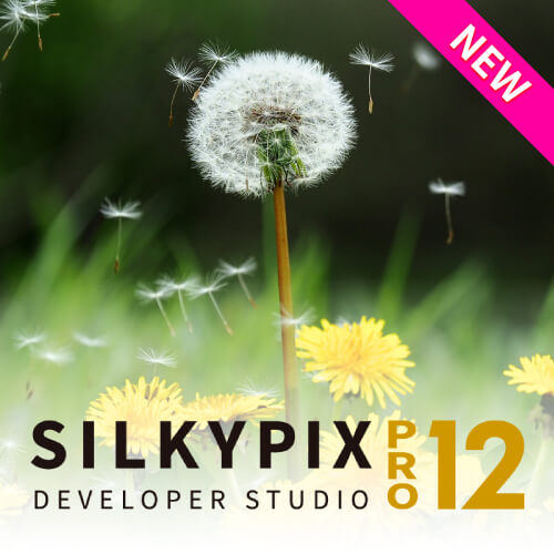 SILKYPIX Developer Studio Pro12