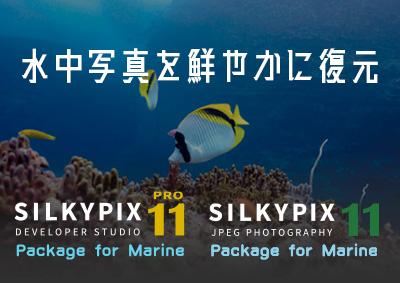 SILKYPIX Developer Studio Pro11 /JPEG Photography 11 ～Package for marine～