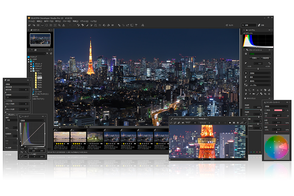 SILKYPIX Developer Studio Pro10