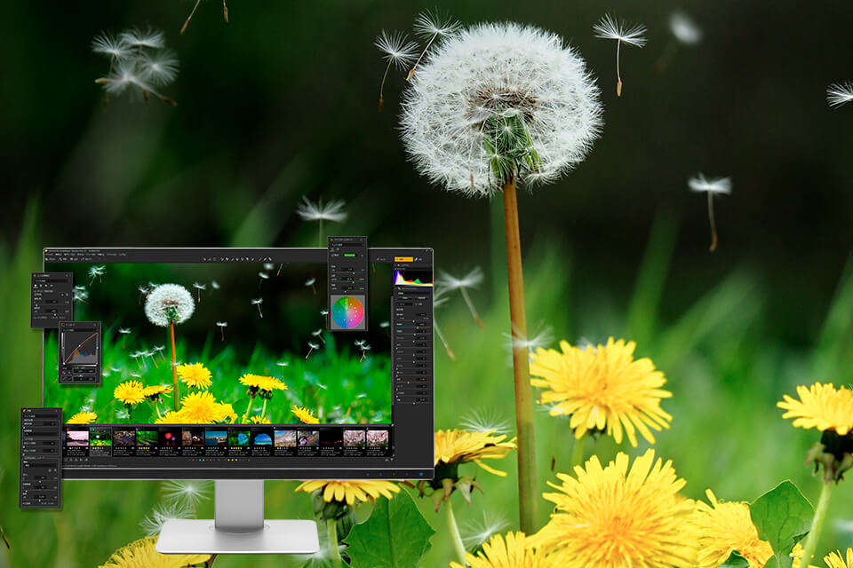 SILKYPIX Developer Studio Pro12